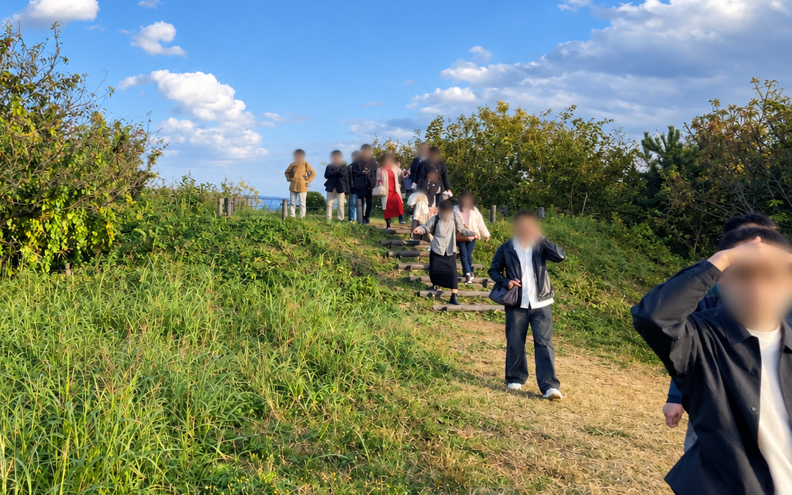 海の森公園の高台を歩く参加者
