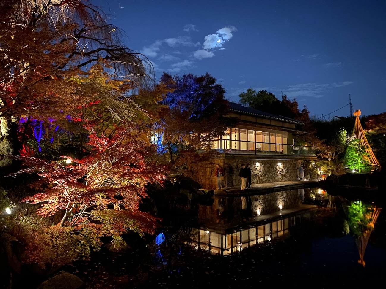 目白庭園の紅葉ライトアップと赤鳥庵の夜景