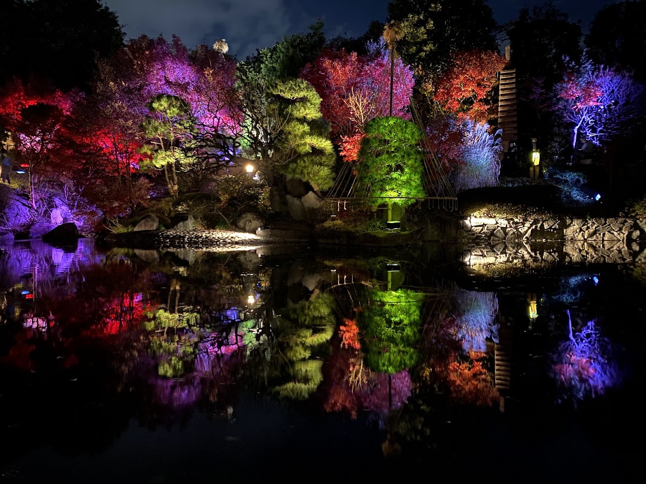 目白庭園の池に映る松と紅葉のライトアップ