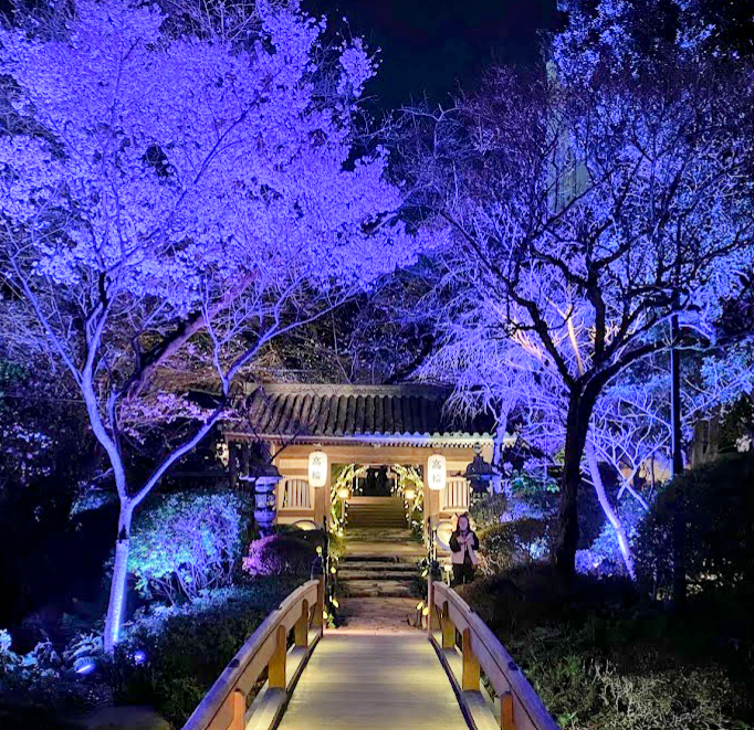 夜桜と竹あかりに照らされたグランドプリンスホテル高輪日本庭園の山門