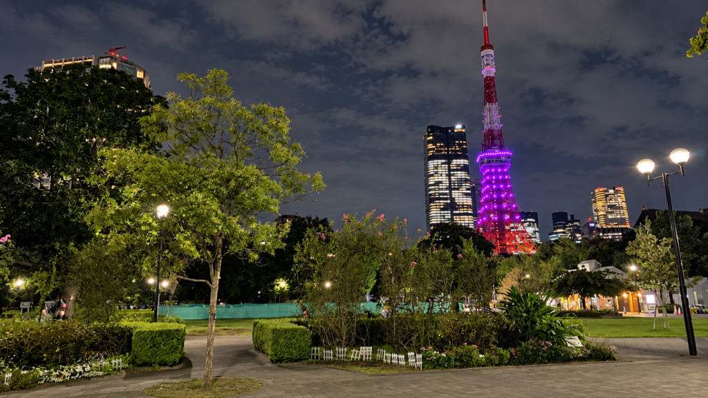 夜の港区立芝公園から望む東京タワーと園内の緑