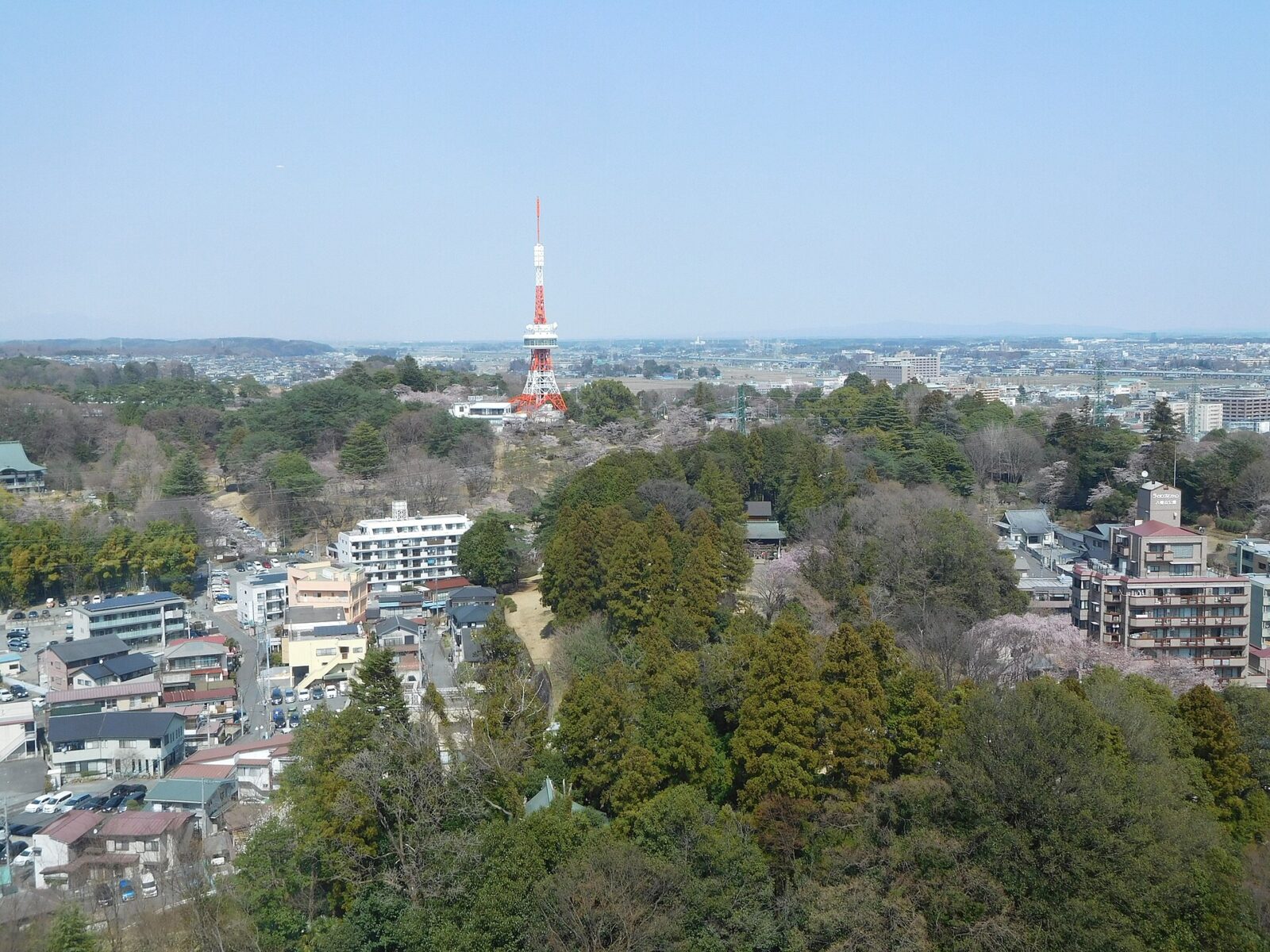 八幡山特殊地下壕が残る宇都宮市八幡山公園の全景