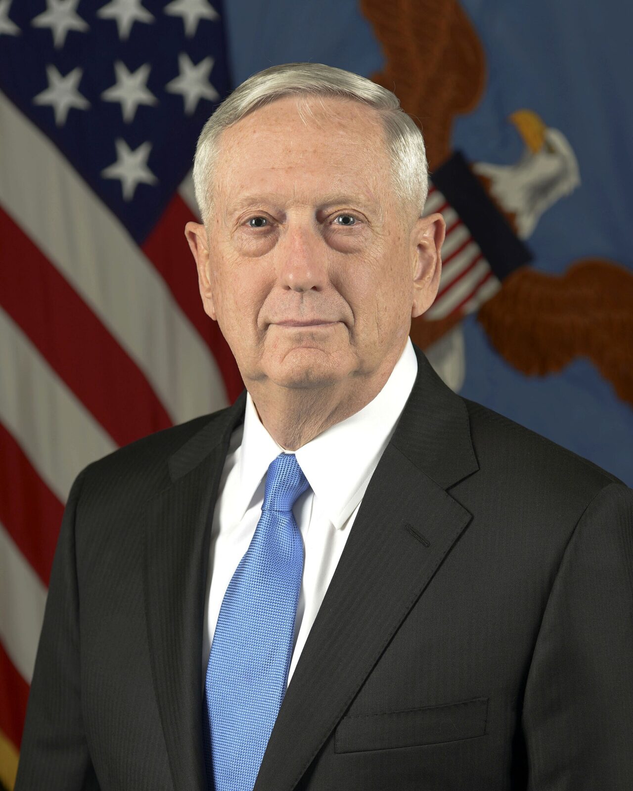 第1次トランプ政権のジェームズ・マティス国防長官公式肖像