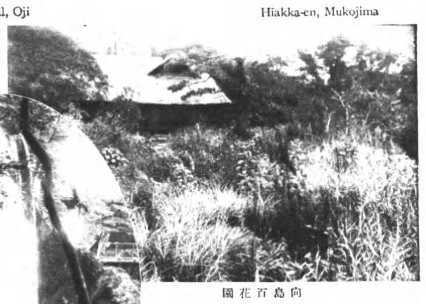 1937年に撮影された向島百花園