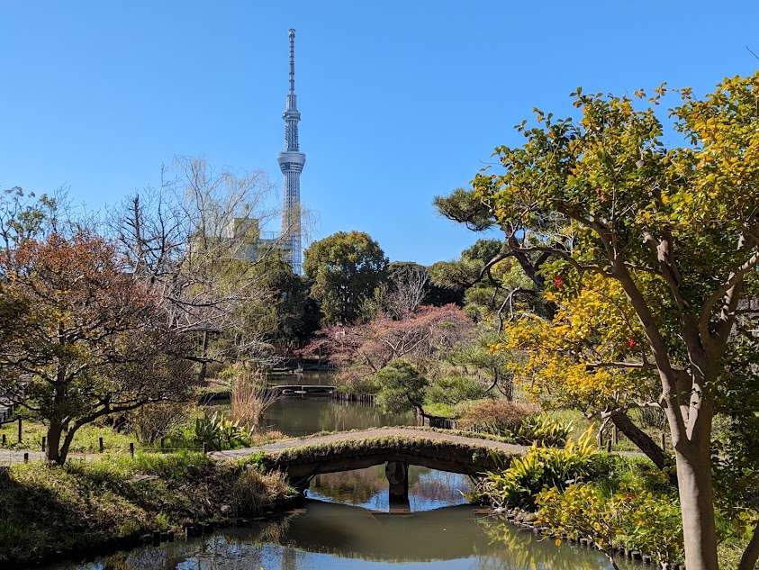春の向島百花園の池と園内風景
