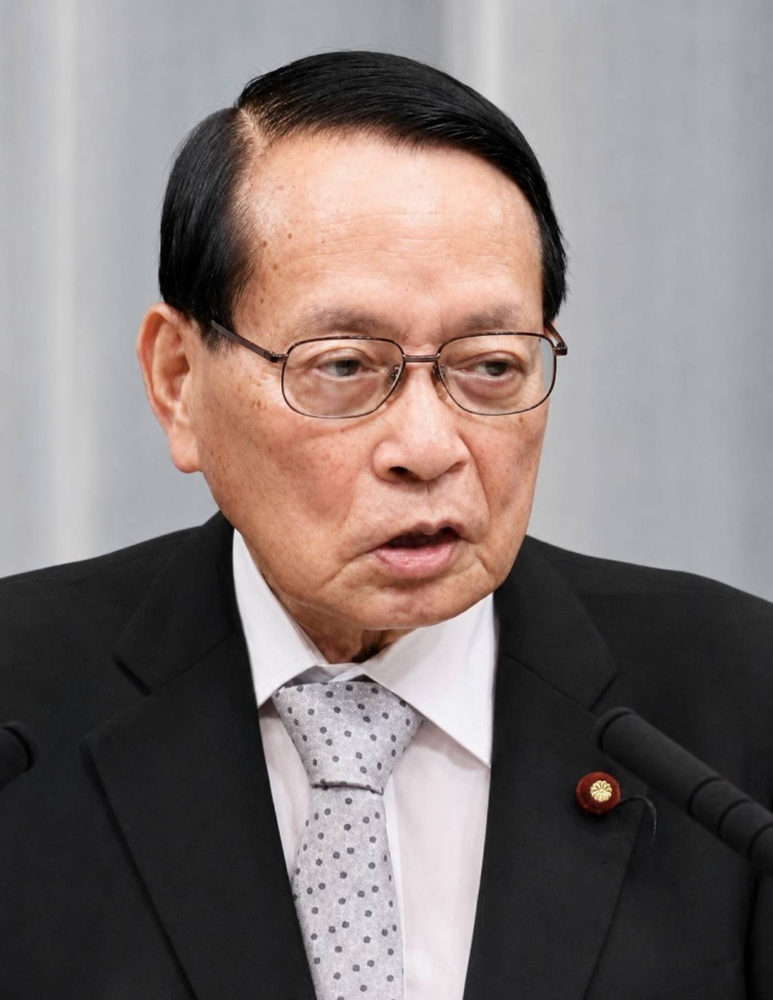 平沢勝栄復興大臣