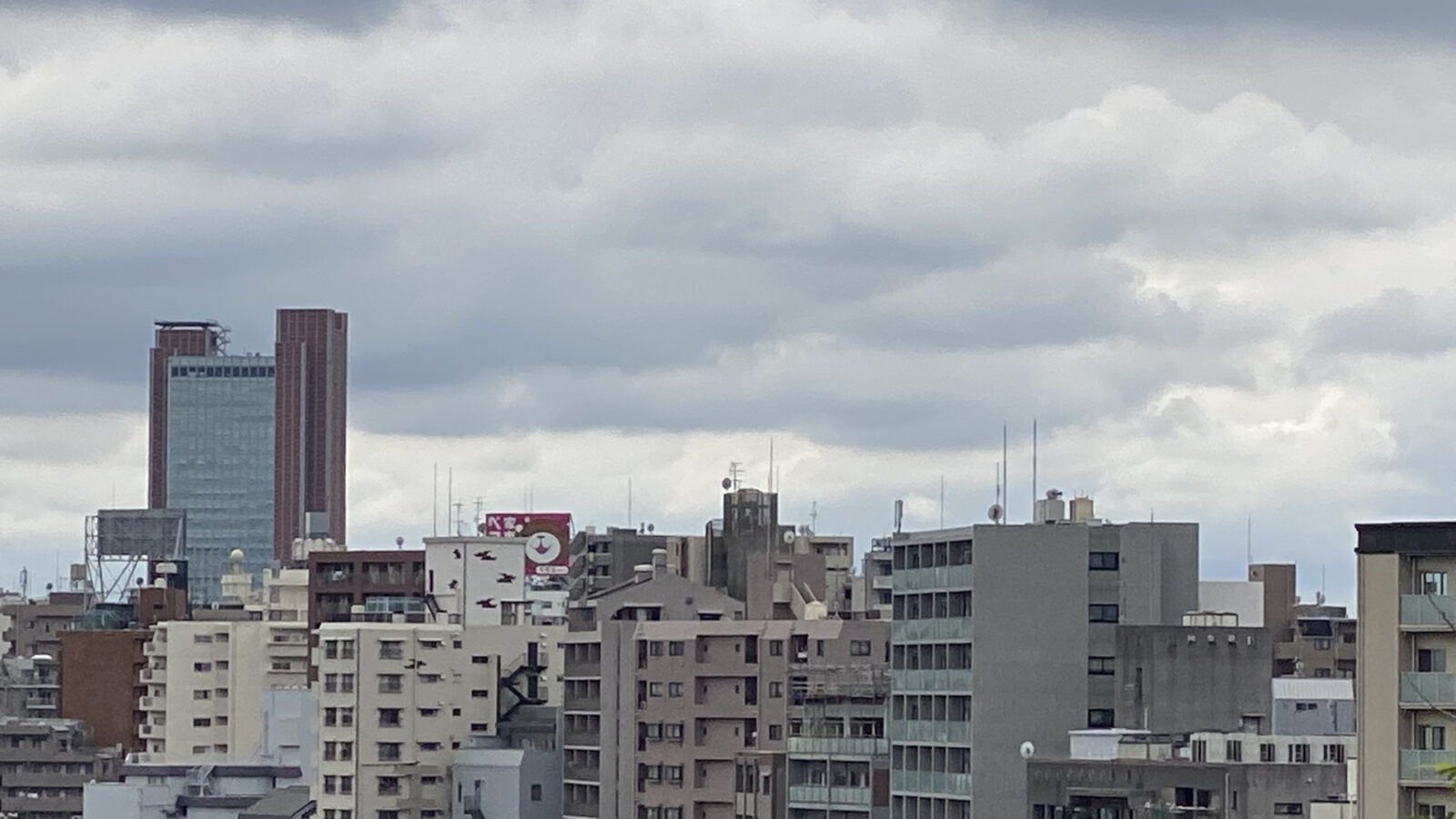 目黒天空庭園の展望エリアから見た目黒周辺の市街地