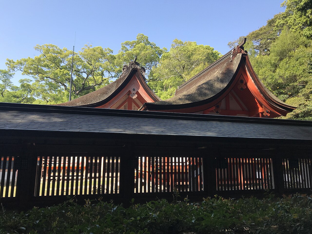 愛媛県今治市大三島の大山祇神社本殿と上津社本殿