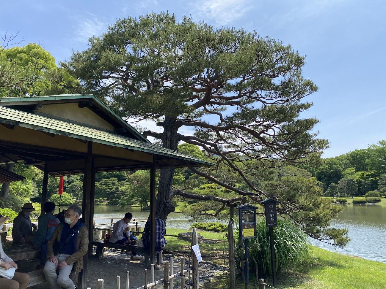 5月の六義園の吹上茶屋と大泉水