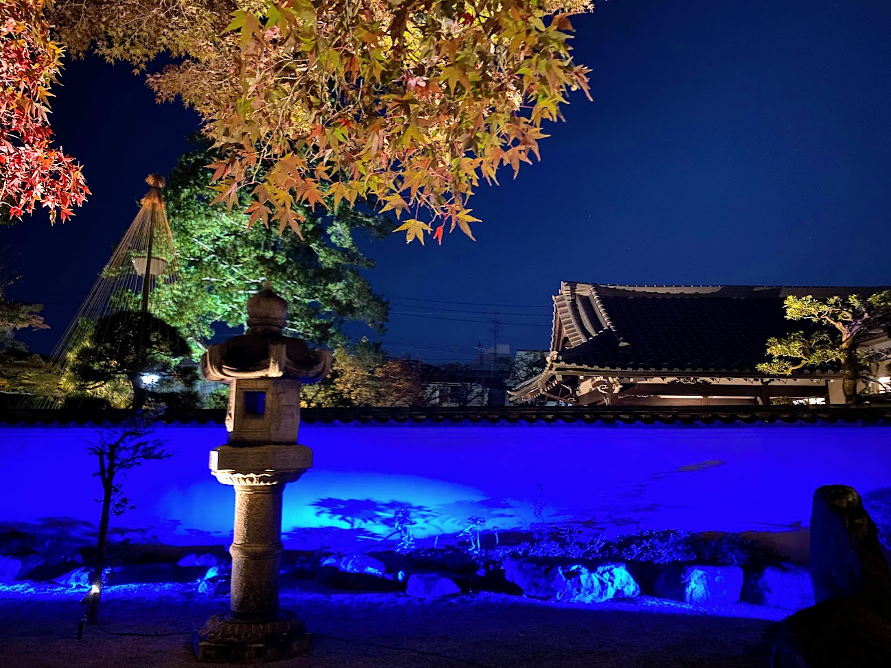 青い光に照らされた肥後細川庭園の石灯籠