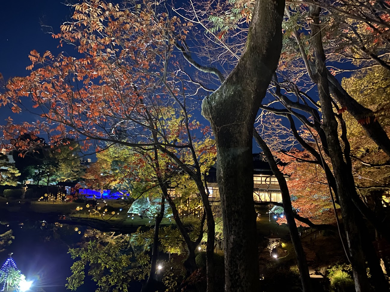 樹木越しに眺める肥後細川庭園と松聲閣