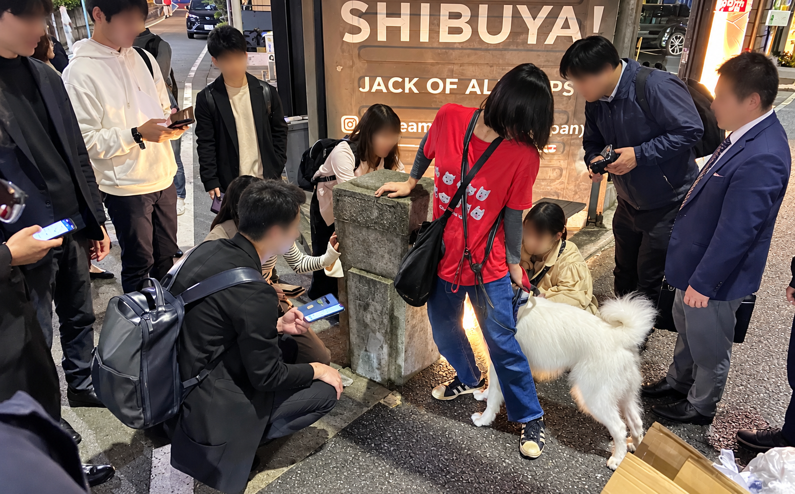 裏原宿の散歩中に犬と触れ合うナイトウォーク参加者