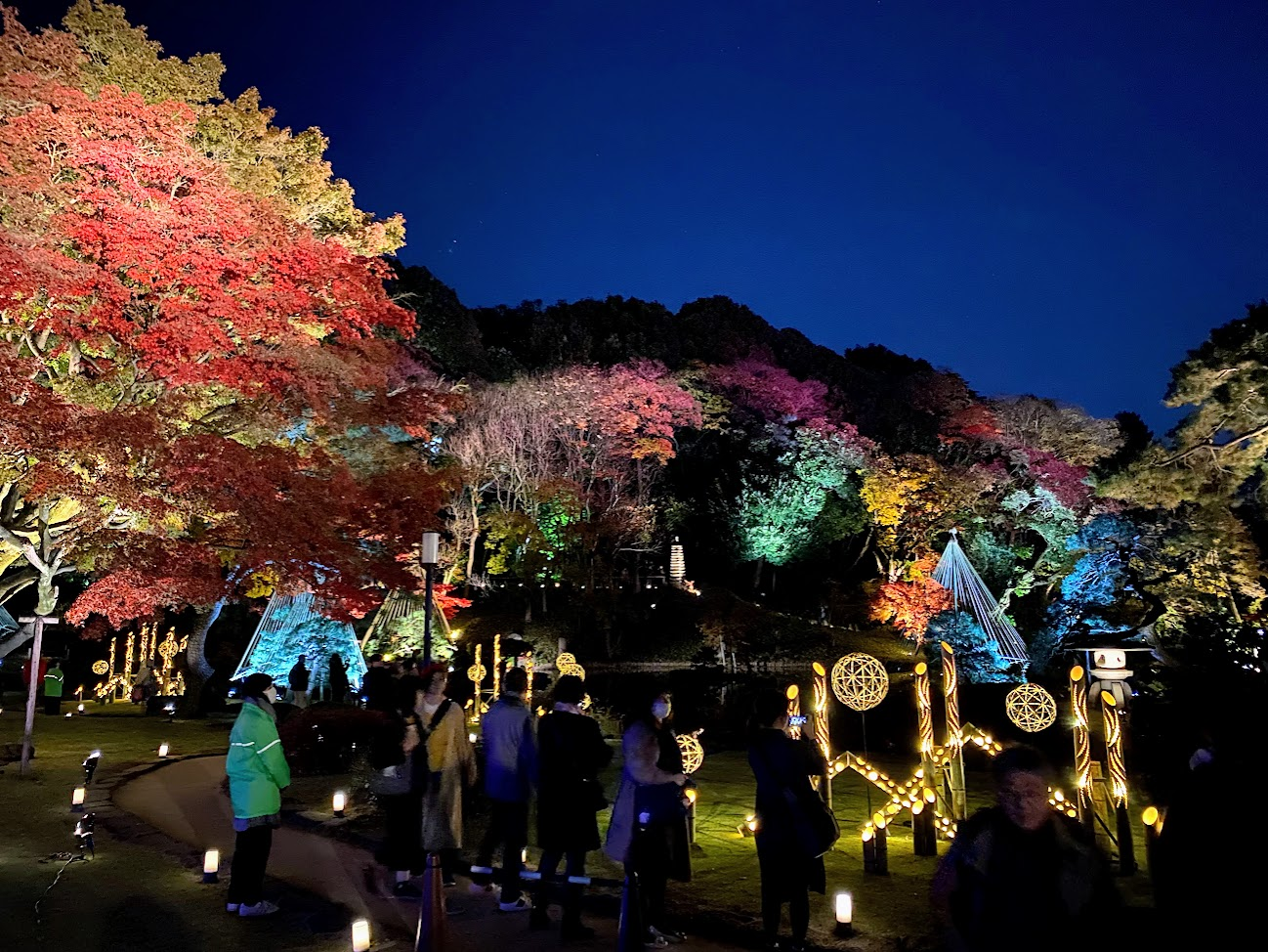 色づいた紅葉と竹あかりに照らされた夜の肥後細川庭園