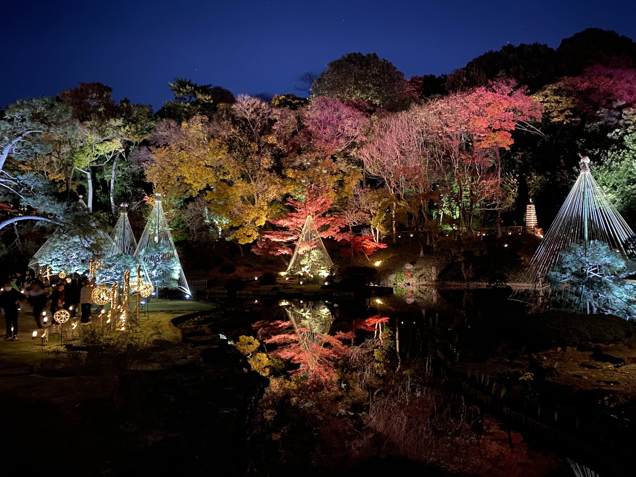 庭園の池と雪吊りに映る紅葉ライトアップ