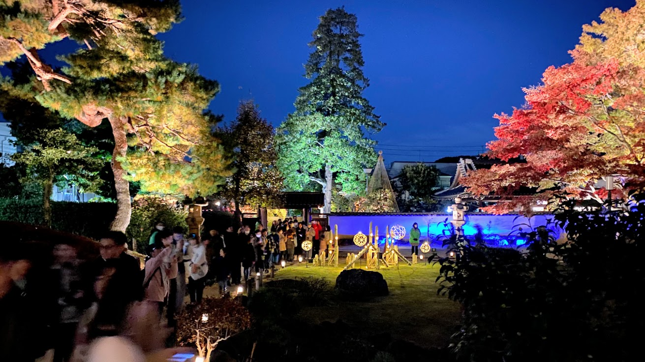 竹あかりと紅葉を楽しむ肥後細川庭園の来園者