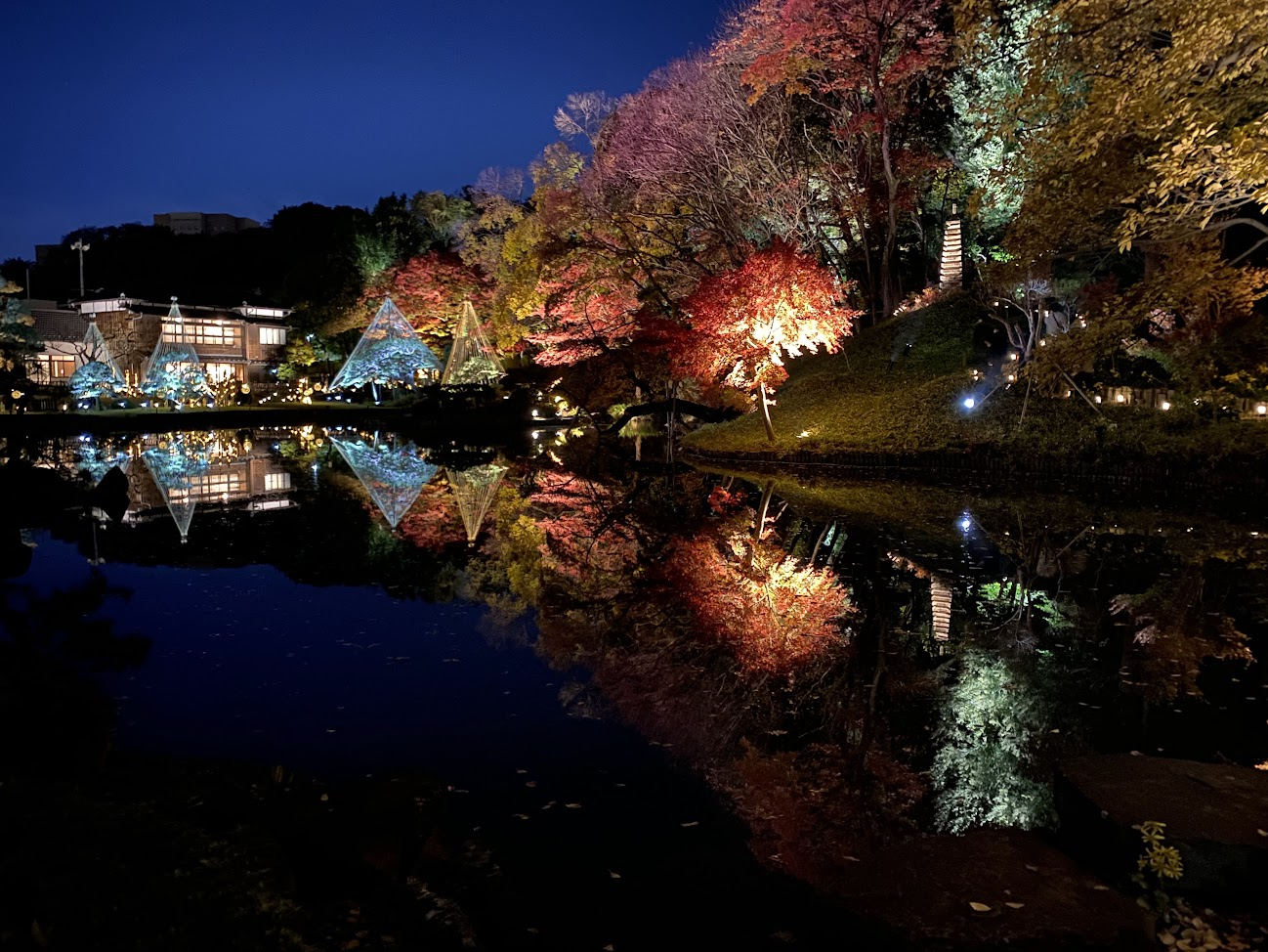 赤い紅葉と松の雪吊りが池に映り込む夜景