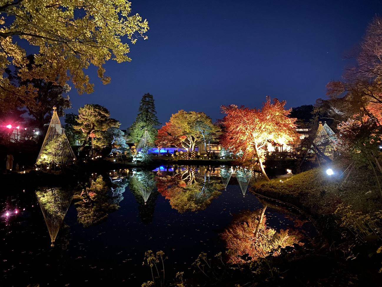 池を挟んで眺める肥後細川庭園の夜間紅葉ライトアップ