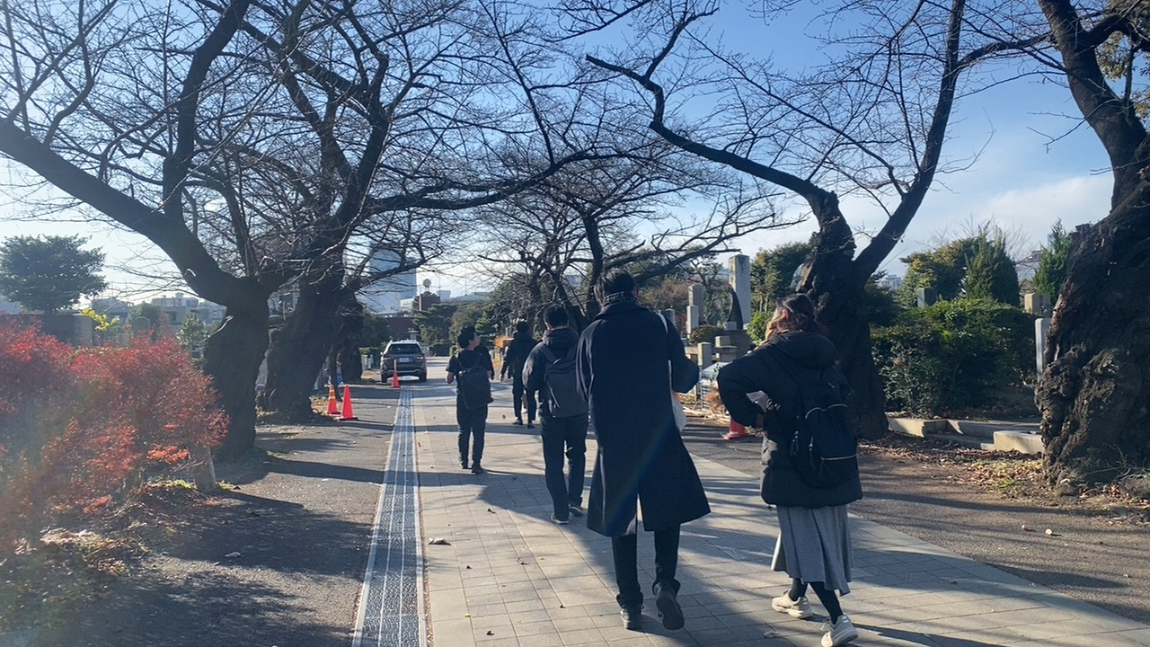 青山霊園の桜並木の園路を歩く歴史散歩参加者