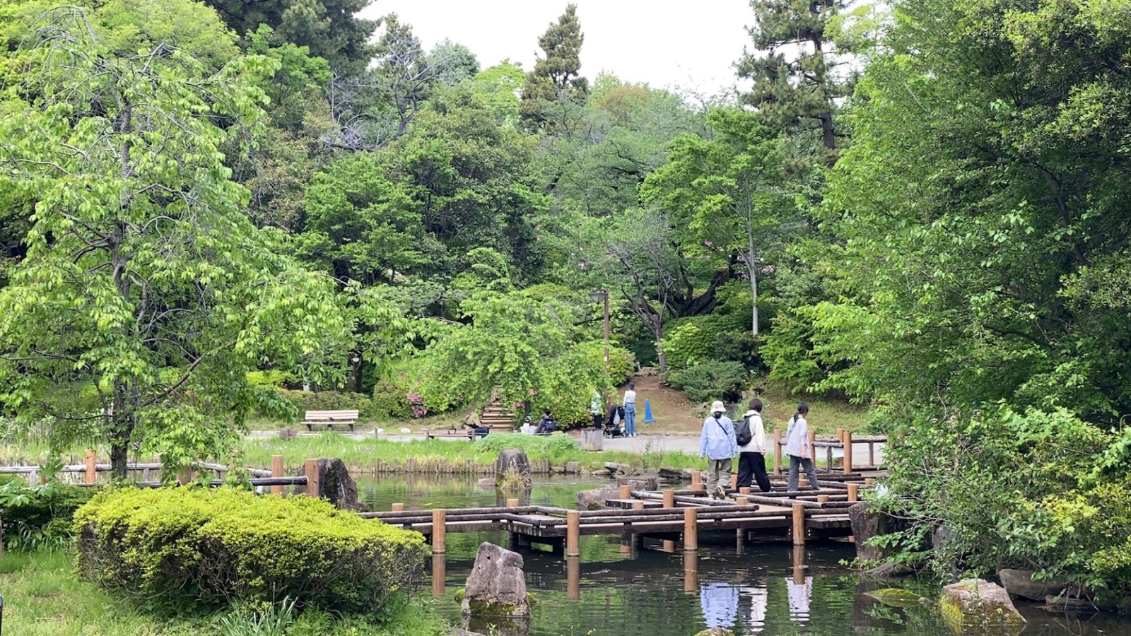 哲学堂公園の池と木製の渡り道