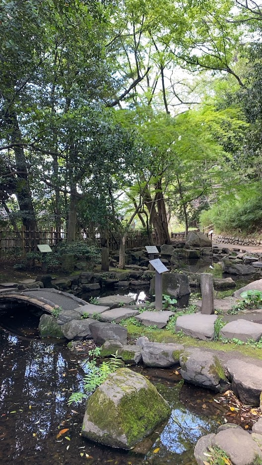 哲学堂公園の小川と石橋