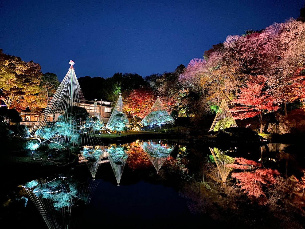 肥後細川庭園2025年紅葉ライトアップ｜雪吊りと池の美しい水鏡