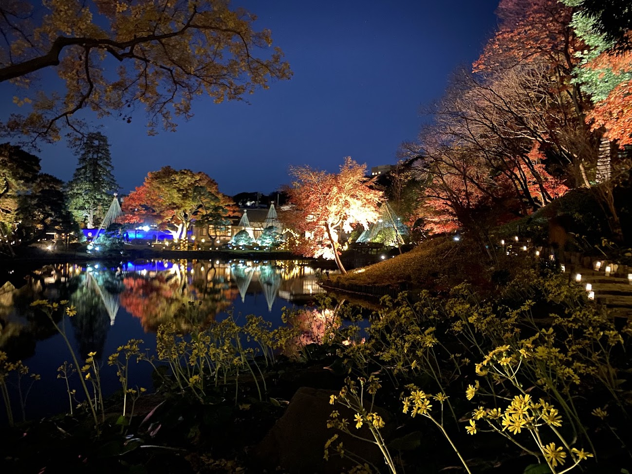 肥後細川庭園の池畔の草花と紅葉ライトアップ