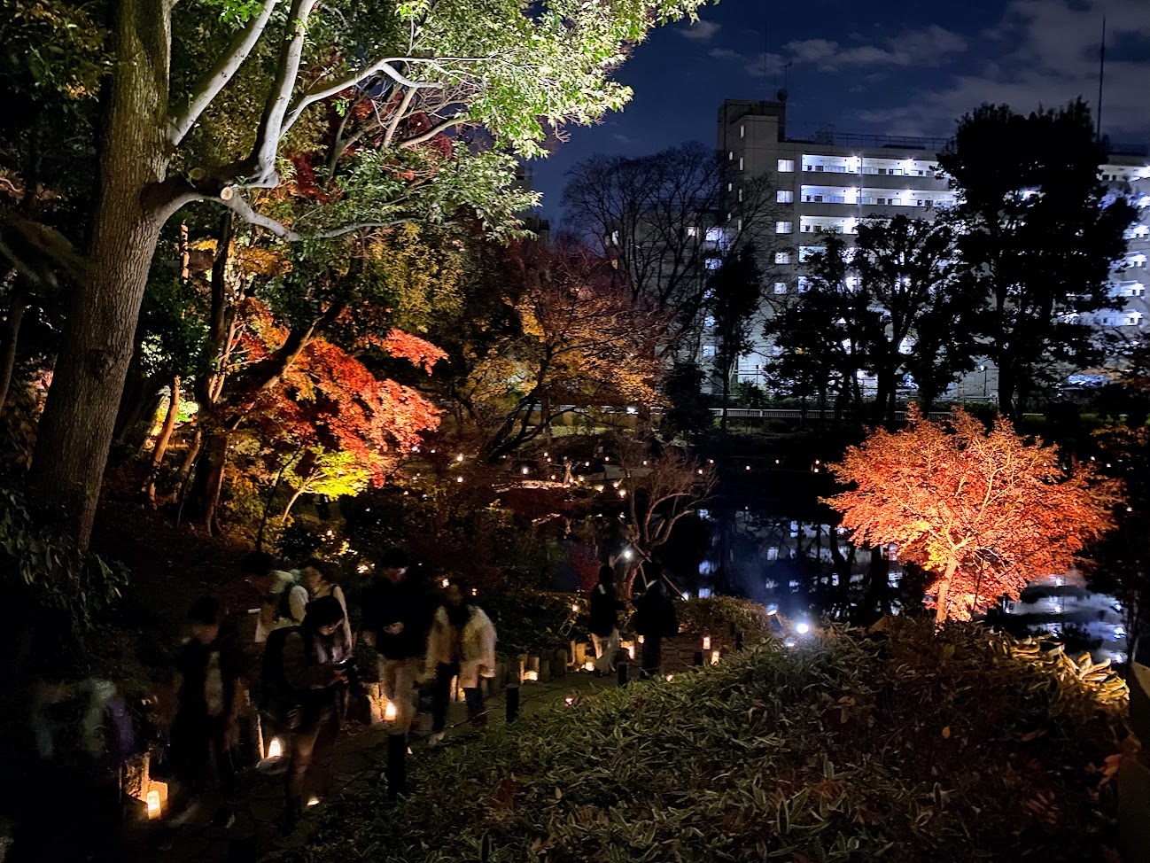 肥後細川庭園の灯りがともる園路と来園者