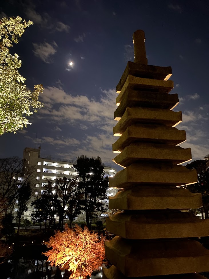 肥後細川庭園の石造物と月夜の紅葉