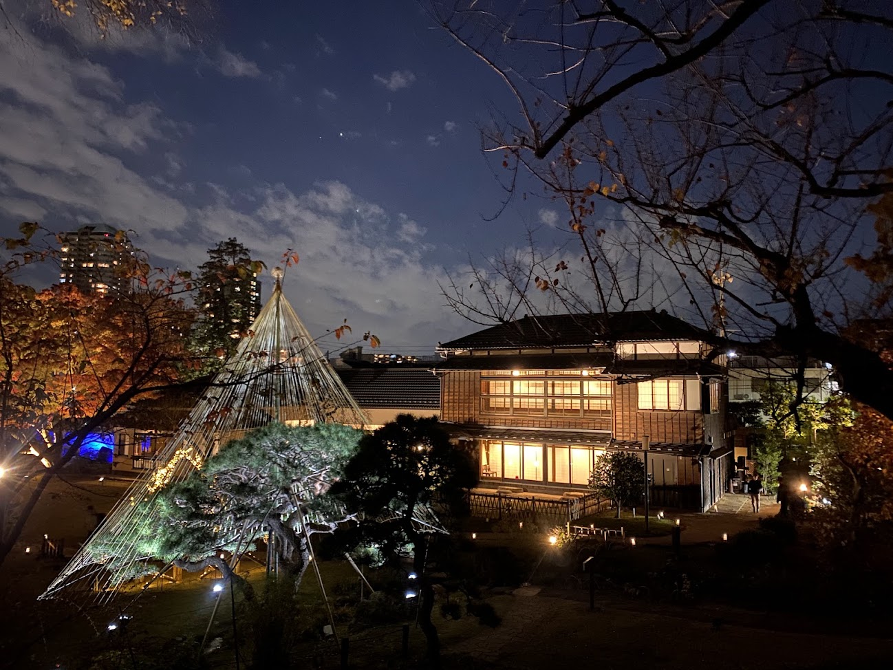 肥後細川庭園の池に映る雪吊りと紅葉