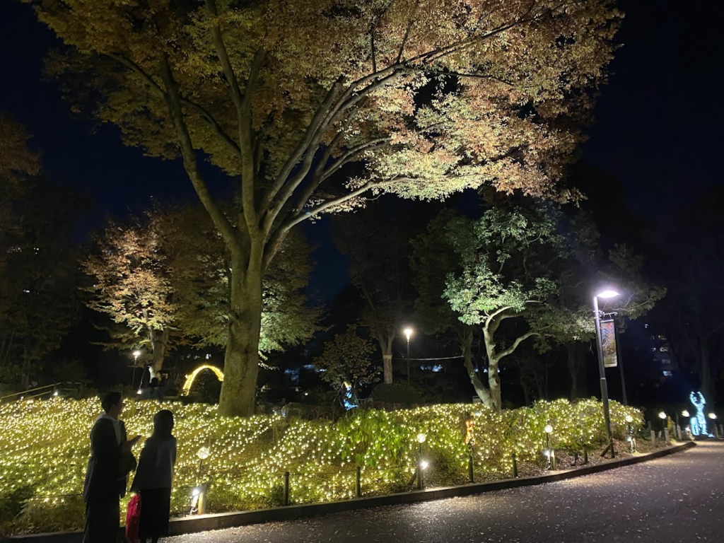 新宿中央公園TWINKLE PARKの樹木と植栽のイルミネーション