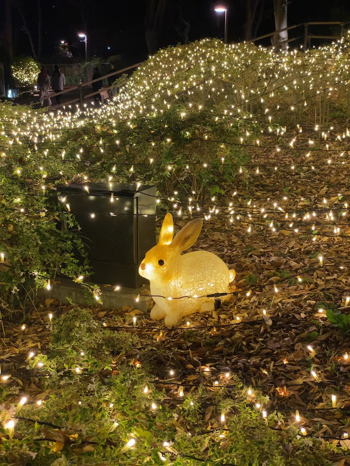 新宿中央公園のイルミネーションに飾られたウサギ型ライト