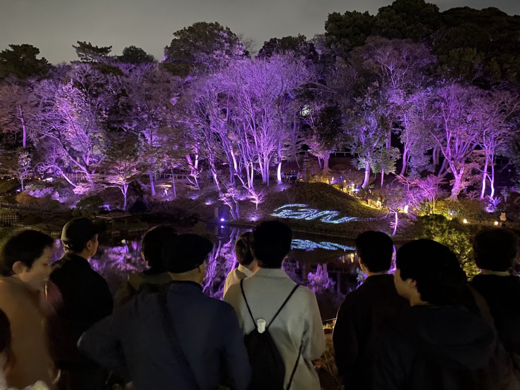 肥後細川庭園の池越しに見る紫色の春季ライトアップ