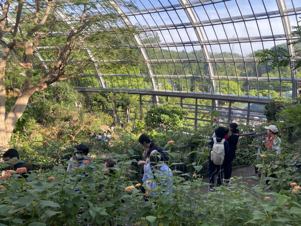 多摩動物公園昆虫生態園の大温室、熱帯植物と花に囲まれた来園者