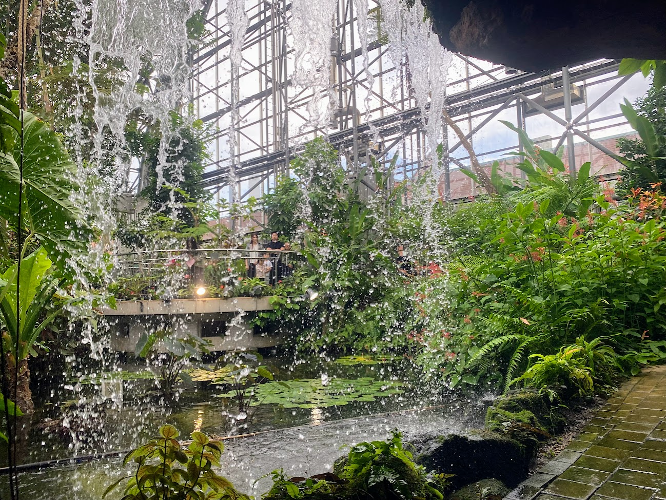 夢の島熱帯植物館の滝と大温室内の景観