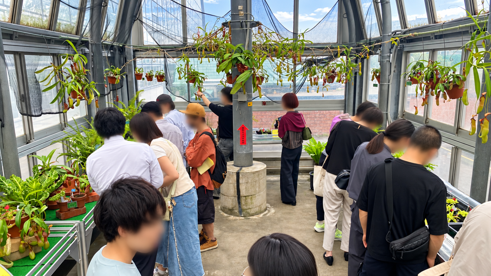 夢の島熱帯植物館 食虫植物温室を見学する参加者