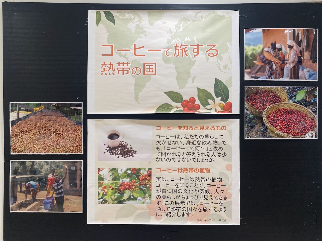 夢の島熱帯植物館 企画展 コーヒーで旅する熱帯の国