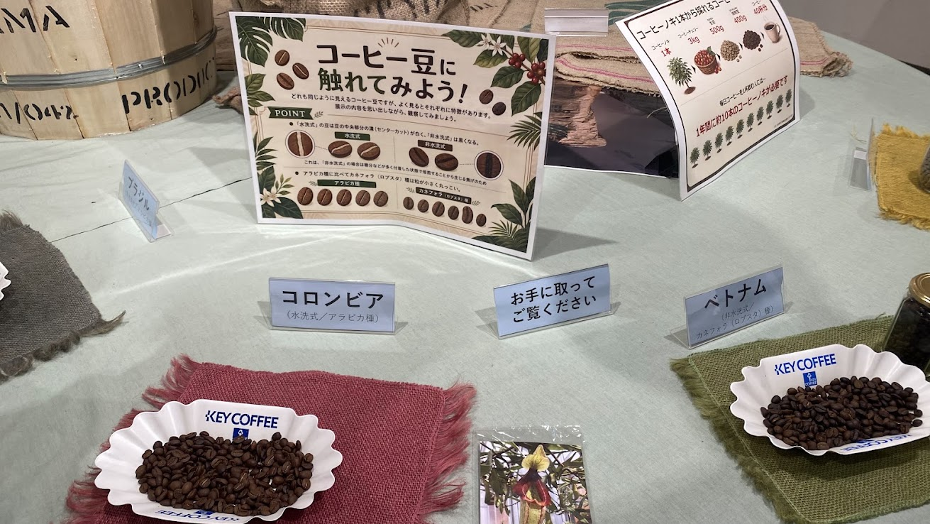 夢の島熱帯植物館 企画展で展示されたコーヒー豆