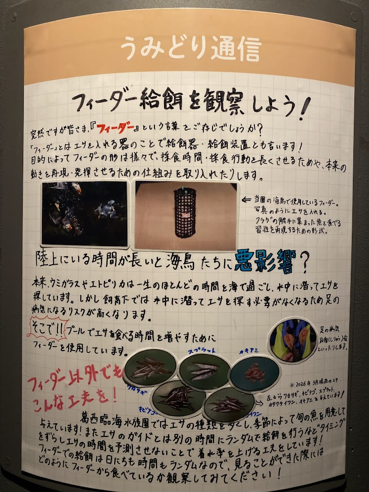 葛西臨海水族園うみどり通信のフィーダー給餌を観察しようの解説掲示