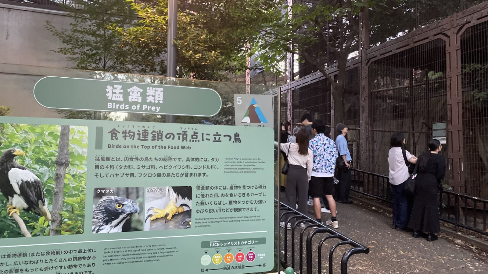 上野動物園東園の猛禽類エリアと食物連鎖を解説する展示板