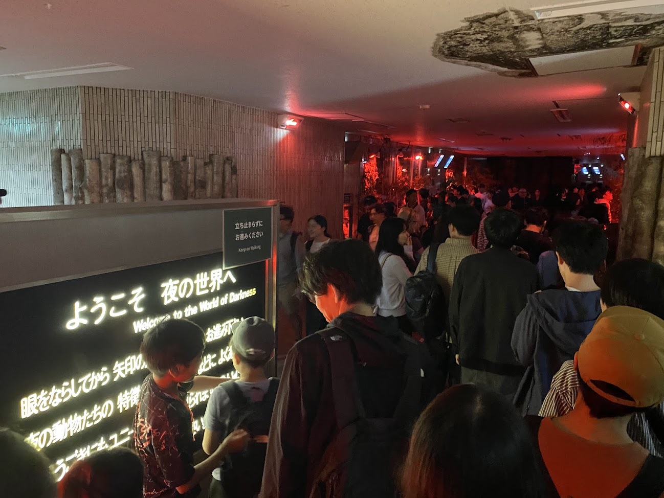 上野動物園小獣館地下にある夜の世界への案内と暗い通路