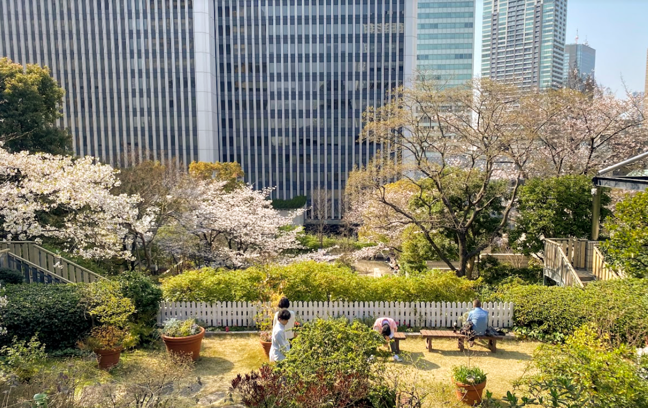 アークヒルズ・ルーフガーデン上段から見下ろした中段と下段