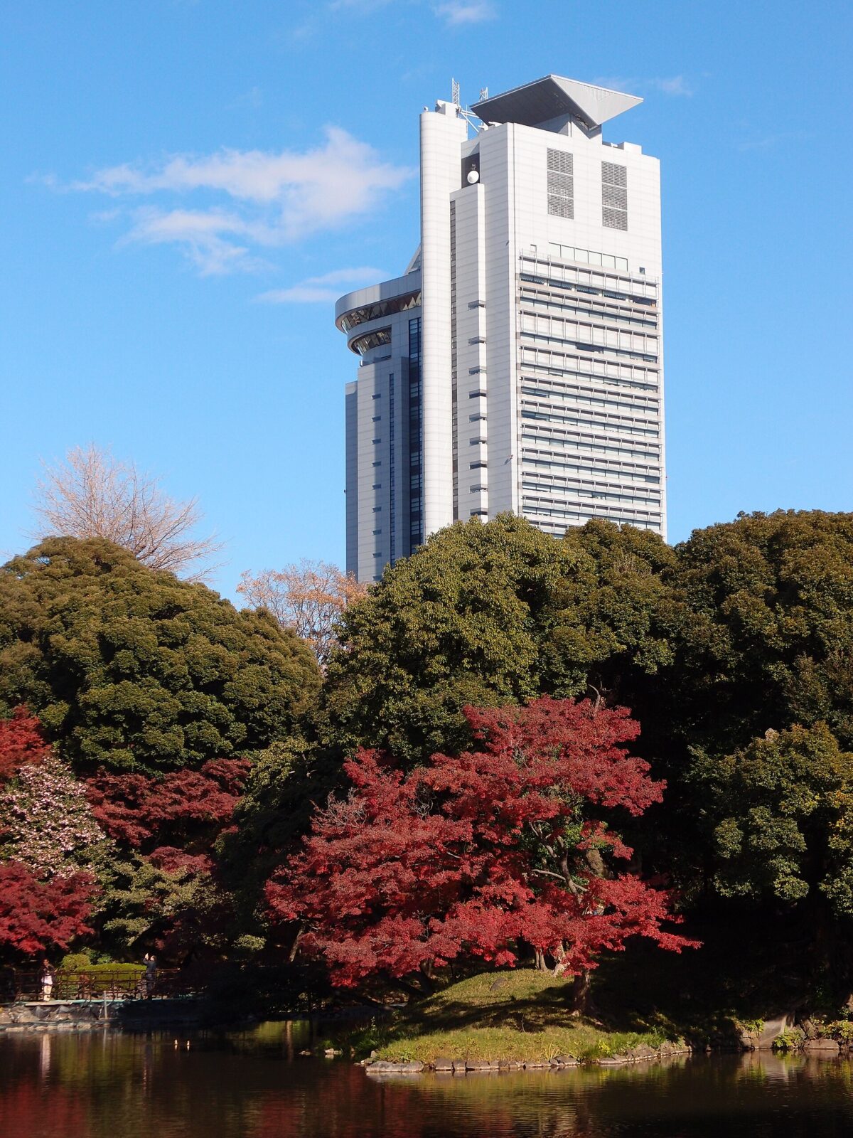 小石川後楽園から望む文京シビックセンターと周辺風景