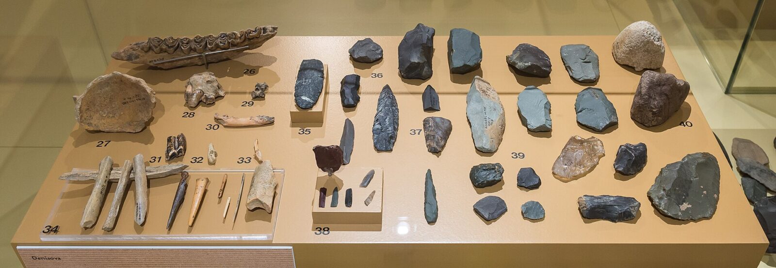デニソワ洞窟から出土した石器や骨製品、動物の骨などを並べた博物館展示