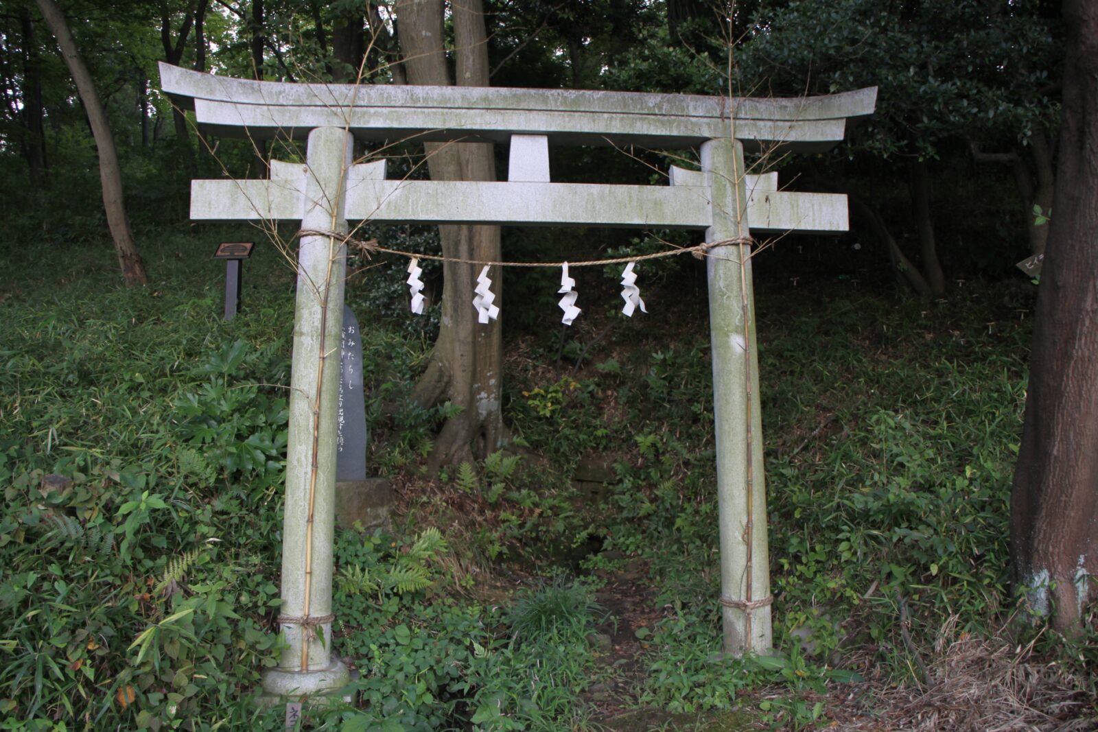 都立浅間山公園内の水手洗神社の石造りの鳥居と背後の雑木林