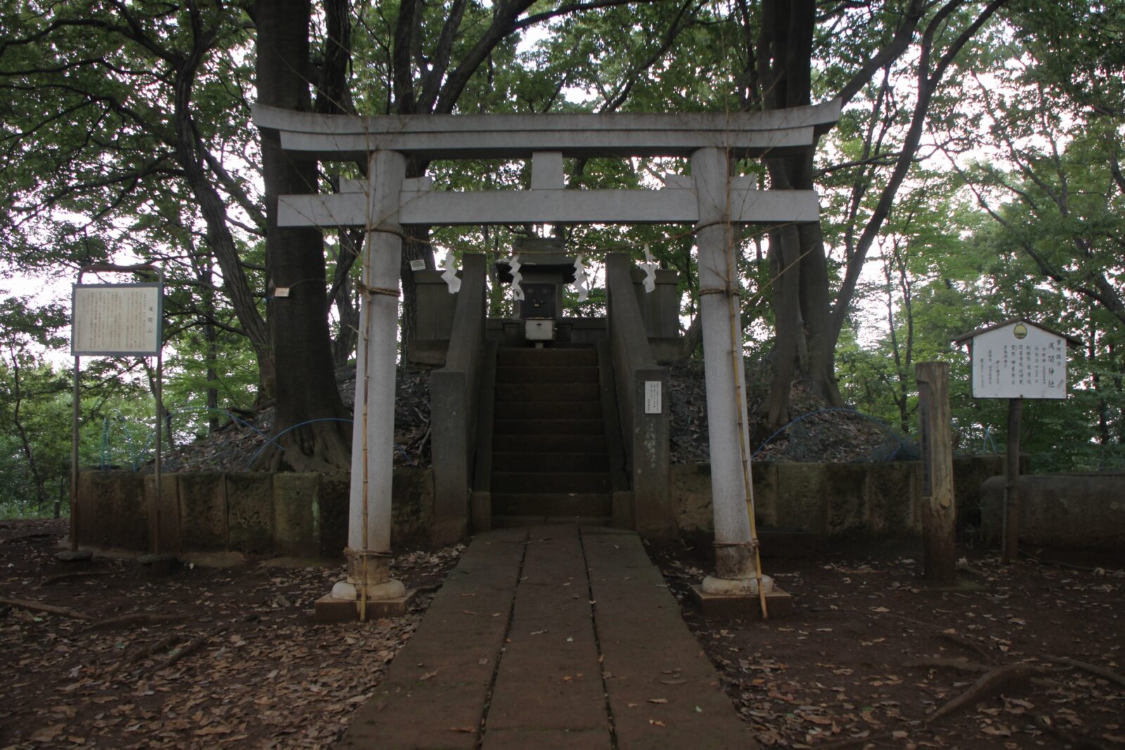 府中市の都立浅間山公園、堂山の山頂にある浅間神社の鳥居と社殿