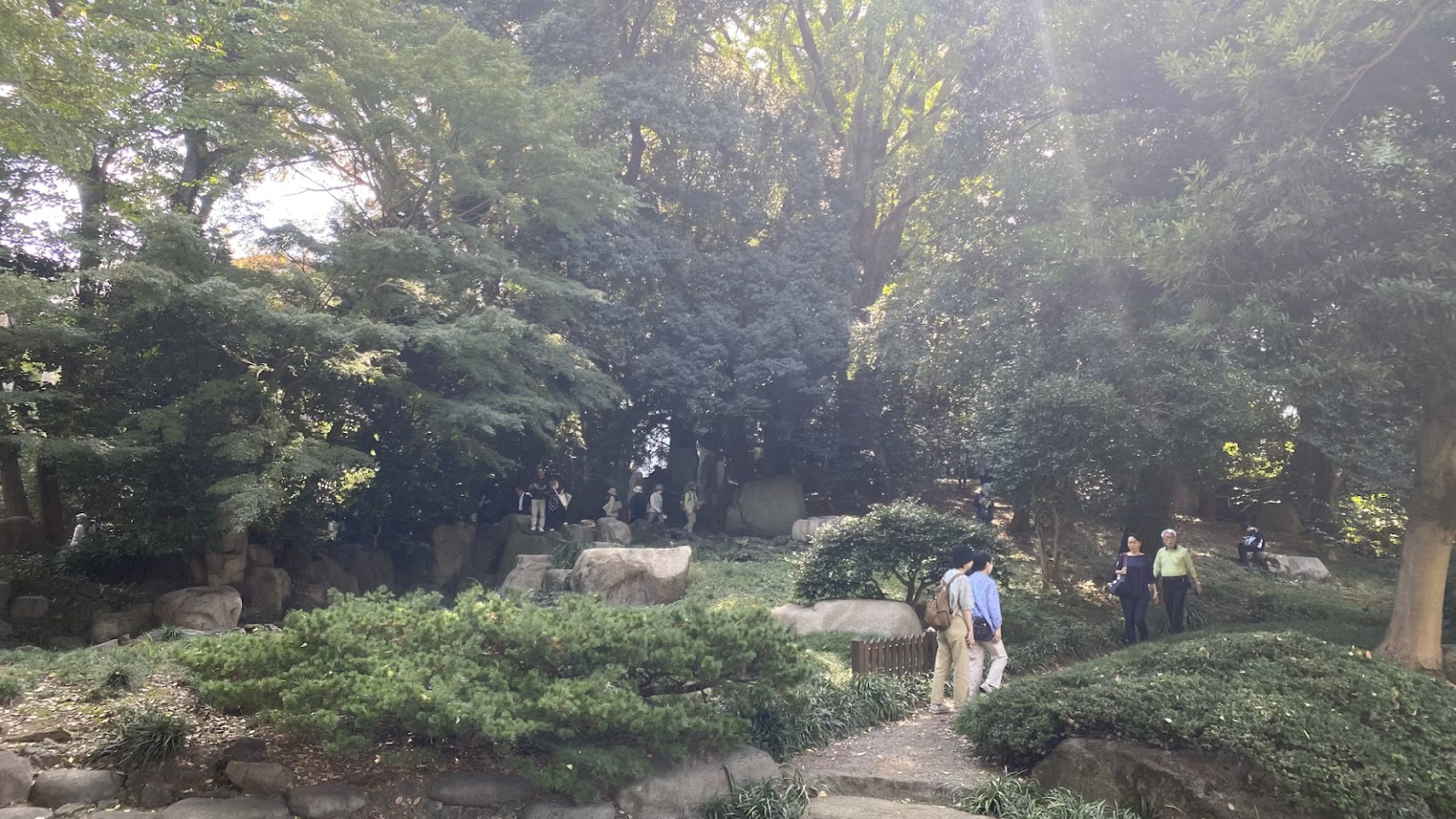 懐徳館庭園の木立が茂る築山と庭石、散策する見学者