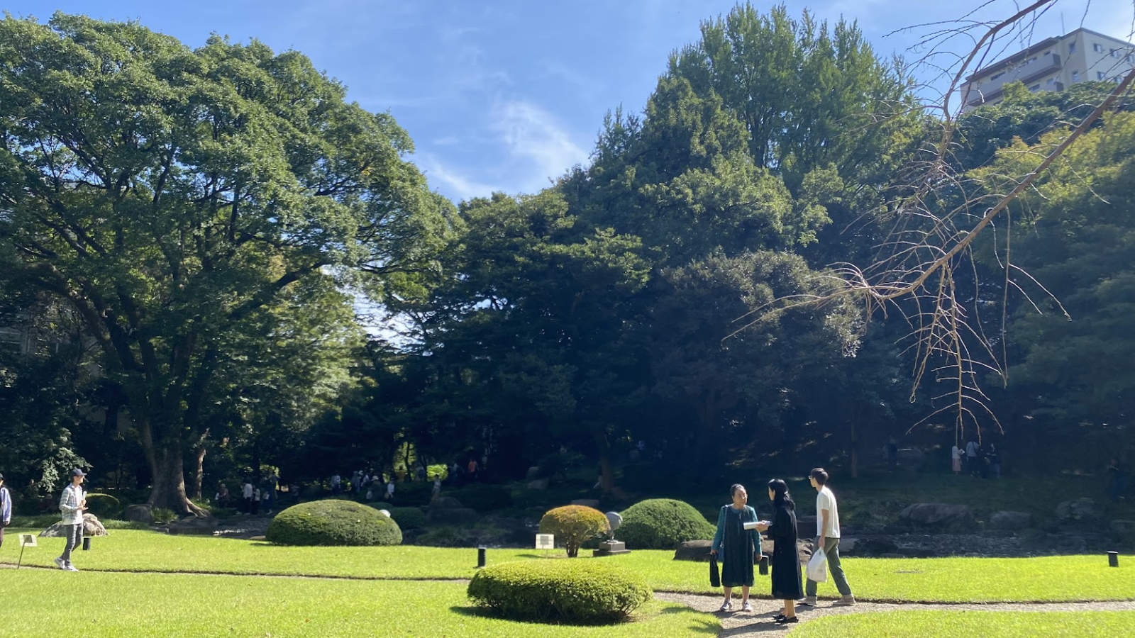 懐徳館庭園の広い芝庭と刈り込まれた低木、背後に続く木立と築山