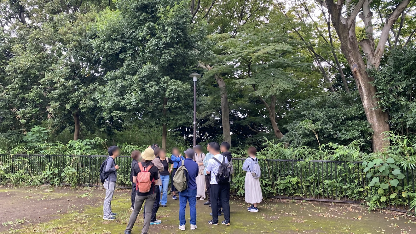 上野毛自然公園と稲荷丸塚前を訪れた歴史散歩イベント参加者